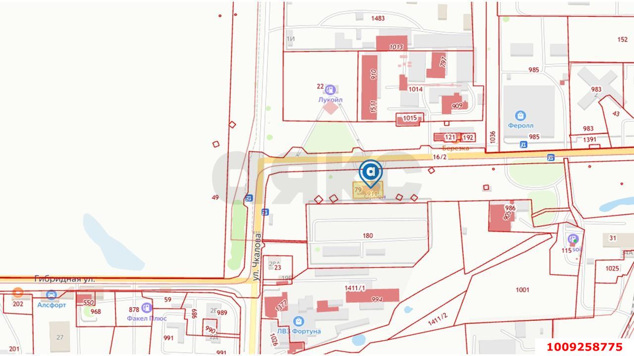 Фото №3: Готовый бизнес 720&nbsp;м², 1/2&nbsp;эт. - Тимашевск, ул. Гибридная, 21