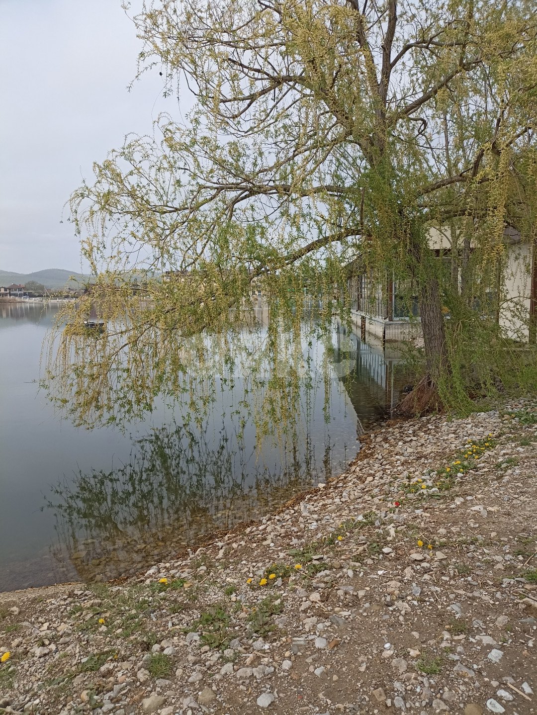 Фото №5: 1-комнатная квартира 57&nbsp;м², 4/4&nbsp;эт. - Горячий Ключ, мкр. Администрация, ул. Кучерявого, 50Б