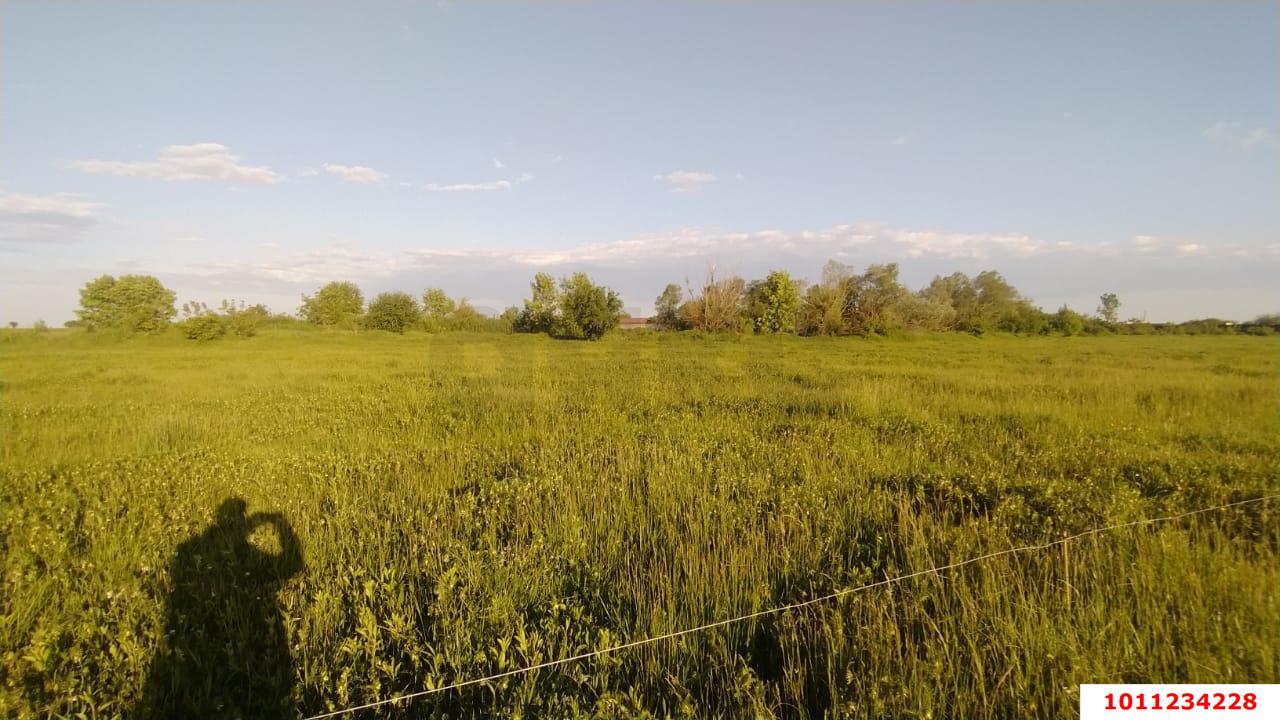 Фото №5: Земельный участок под ИЖС 20&nbsp;сот. - Казазов