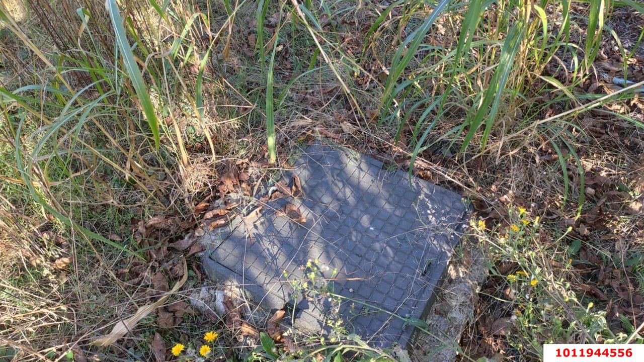 Фото №5: Личное подсобное хозяйство 6&nbsp;сот. - с/т Мехзаводское, мкр. Прикубанский внутригородской округ, ул. Виноградная