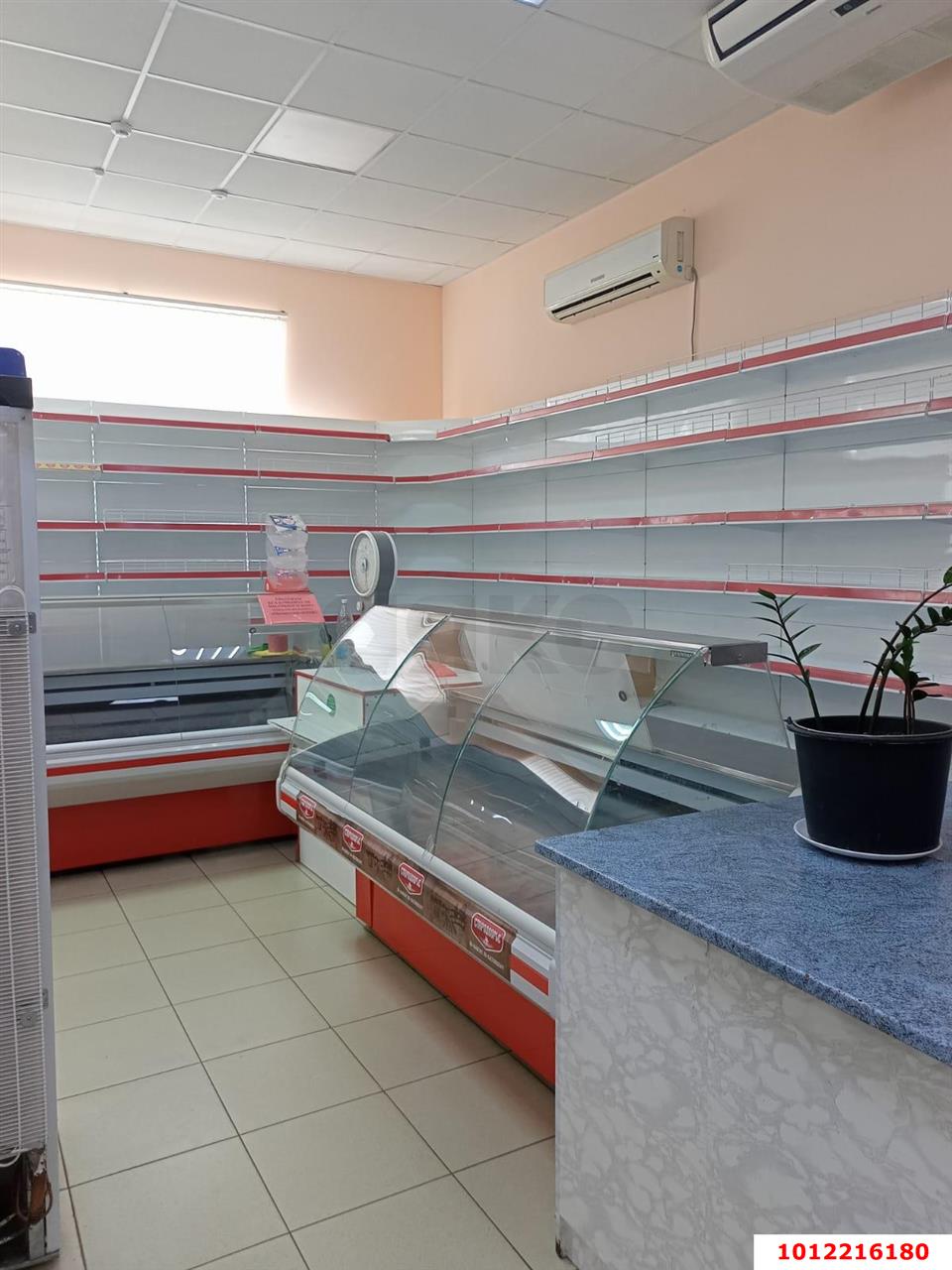 Фото №4: Торговое помещение 123&nbsp;м², 1/1&nbsp;эт. - Приморско-Ахтарск, ул. Пролетарская, 5