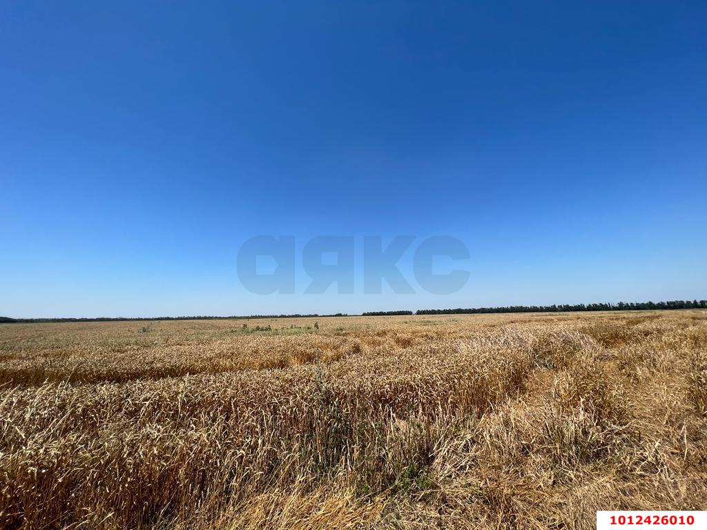 Фото №3: Коммерческая земля 4600&nbsp;сот. - Надежда, мкр. Карасунский внутригородской округ, ул. Абрикосовая, 264