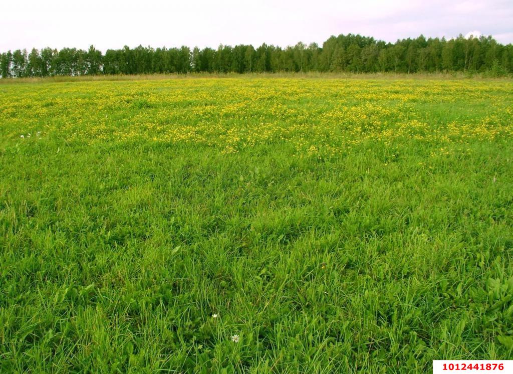 Фото №3: Коммерческая земля 200&nbsp;сот. - Копанской, мкр. Прикубанский внутригородской округ, ул. Победы, 2