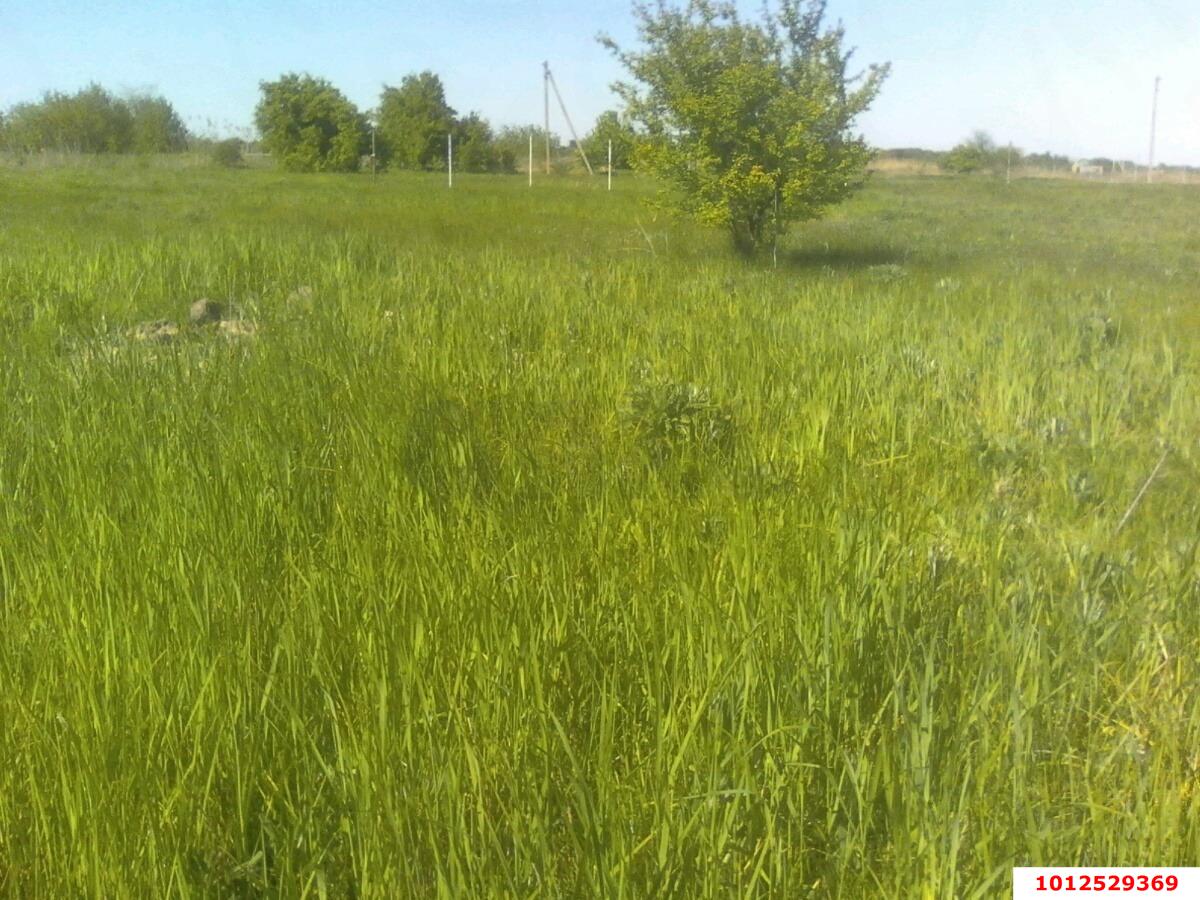 Фото №3: Личное подсобное хозяйство 7&nbsp;сот. - Новый Сад