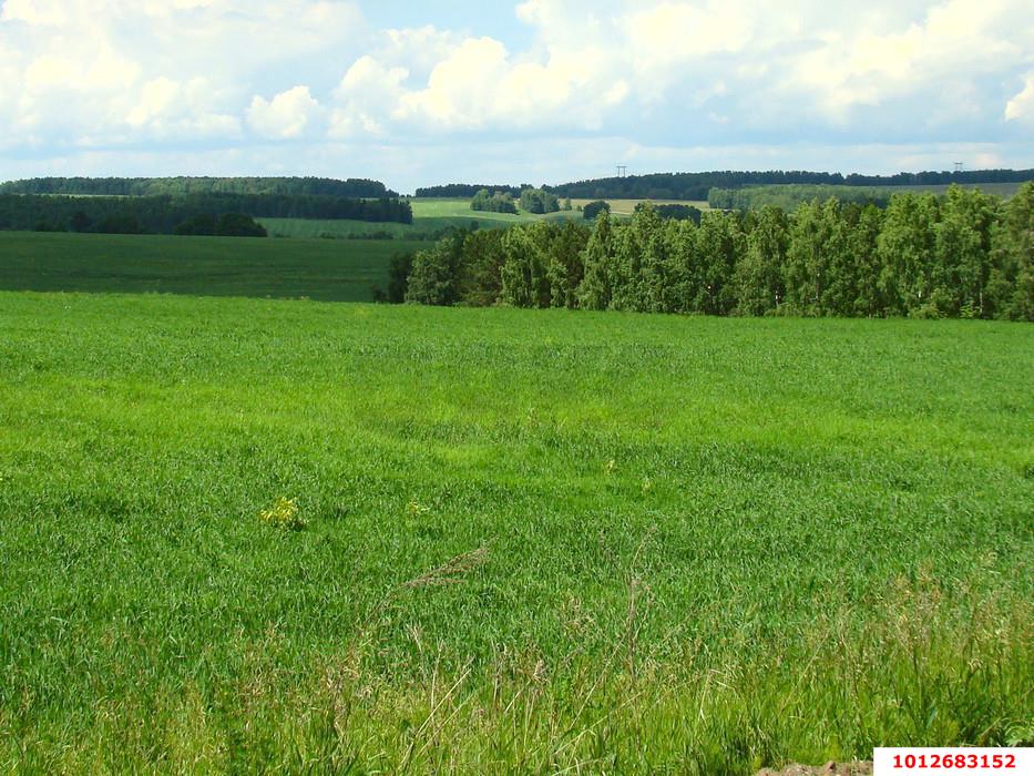 Фото №3: Личное подсобное хозяйство 6&nbsp;сот. - Елизаветинская, Прикубанский внутригородской округ, ст Зелёный Огонёк, ул. Персиковая, 191
