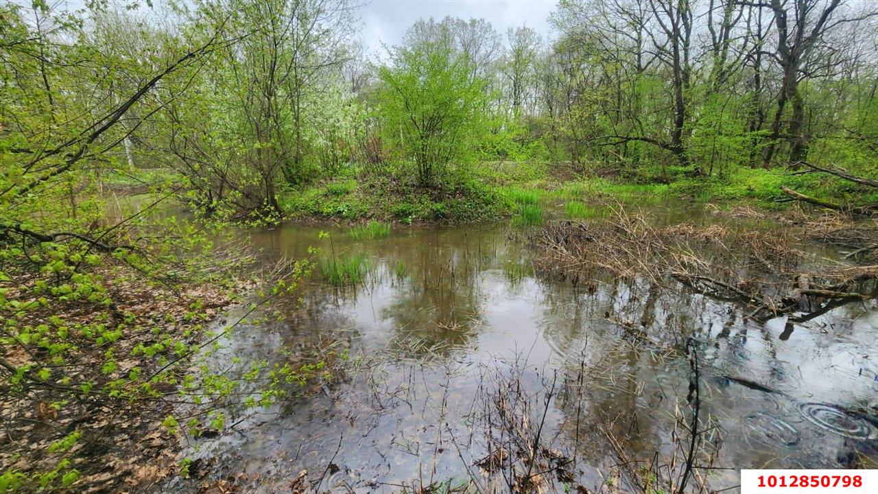 Фото №3: Коммерческая земля 170&nbsp;сот. - Григорьевская, ул. Морская, 9