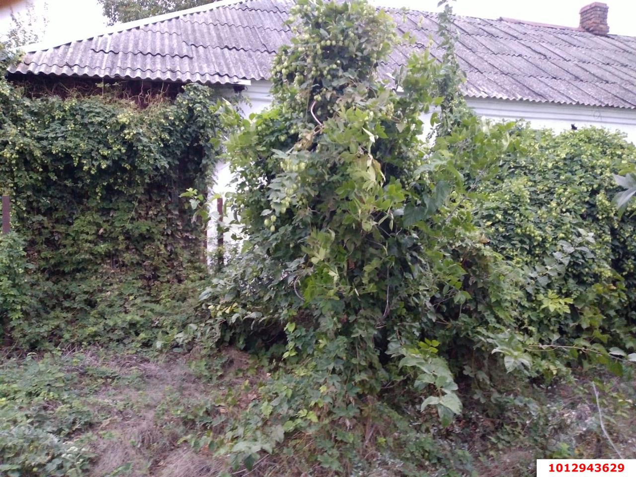 Фото №4: Дом 27&nbsp;м² + 6.5&nbsp;сот., 1&nbsp;эт. - Звезда, ул. Октябрьская, 25