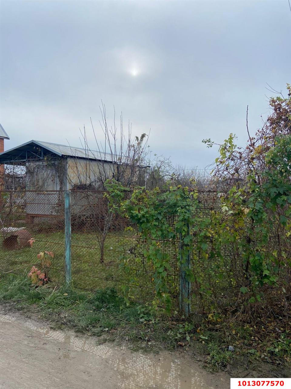 Фото №3: Личное подсобное хозяйство 4&nbsp;сот. - Юбилейное, мкр. Прикубанский внутригородской округ, ул. Малиновая, 28