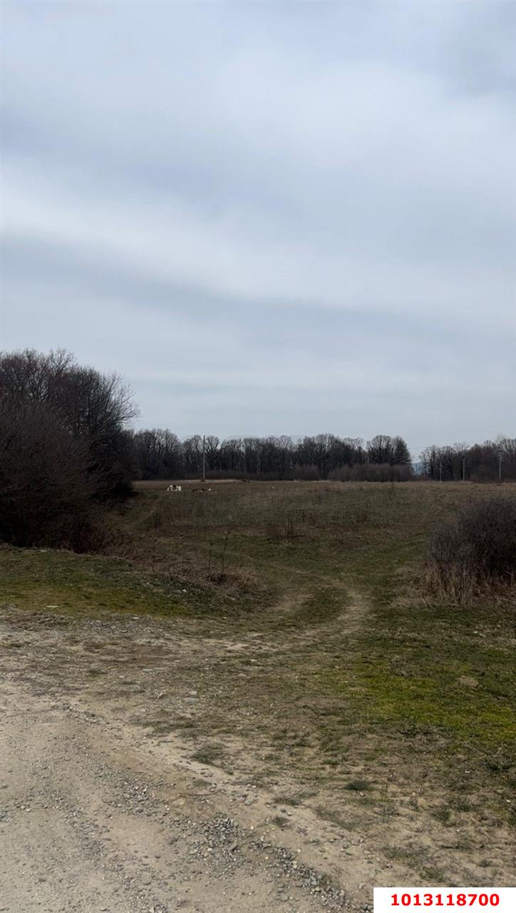 Фото №5: Коммерческая земля 484&nbsp;сот. - Республика Адыгея (Адыгея) Майкопский район