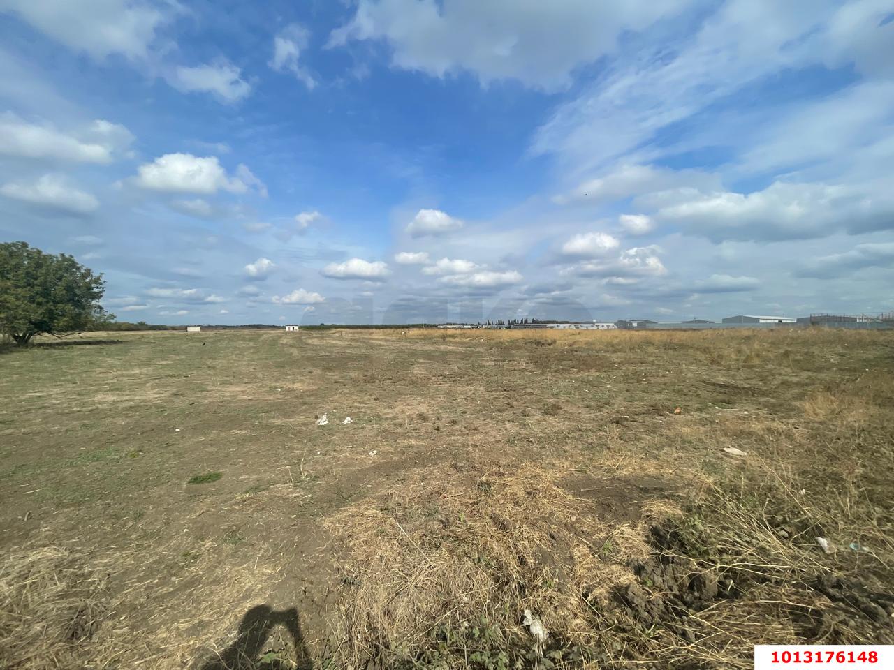 Фото №5: Земельный участок под ИЖС 700&nbsp;сот. - Победитель, мкр. Прикубанский внутригородской округ