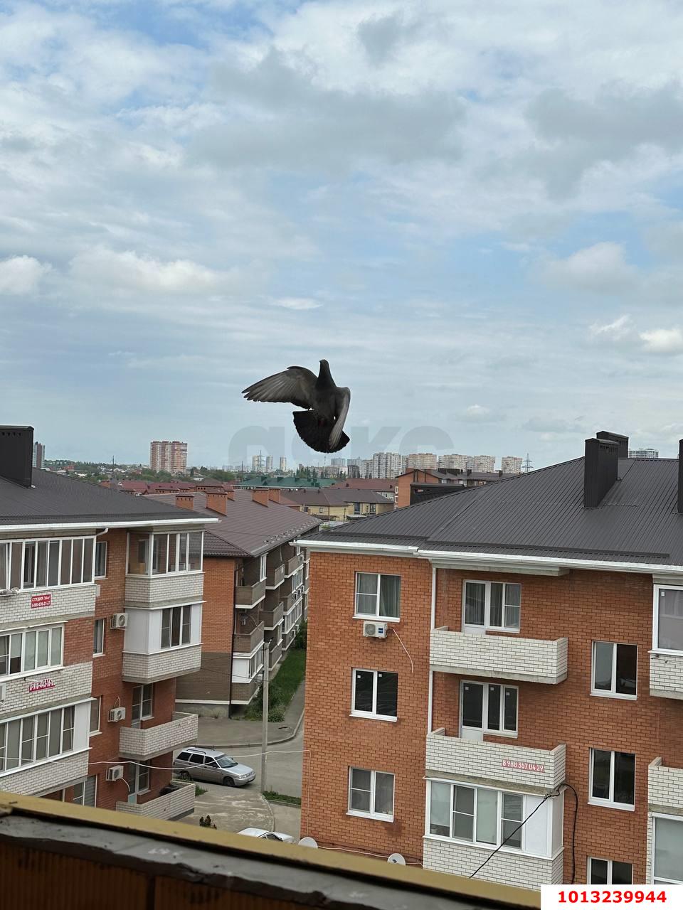 Фото №12: 1-комнатная квартира 30&nbsp;м², 5/5&nbsp;эт. - Новая Адыгея, мкр. жилой комплекс Мята, ул. Бжегокайская, 23/1Ак4