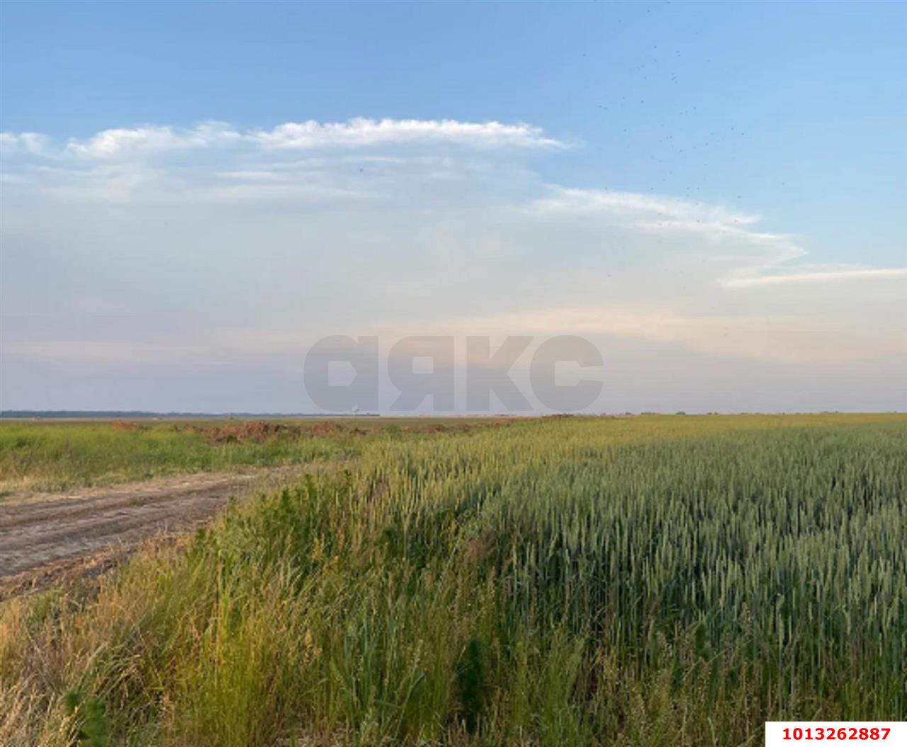 Фото №8: Коммерческая земля 7200&nbsp;сот. - Анастасиевская, Центральный внутригородской округ, мкр. Центральный, пер. Степной, 2
