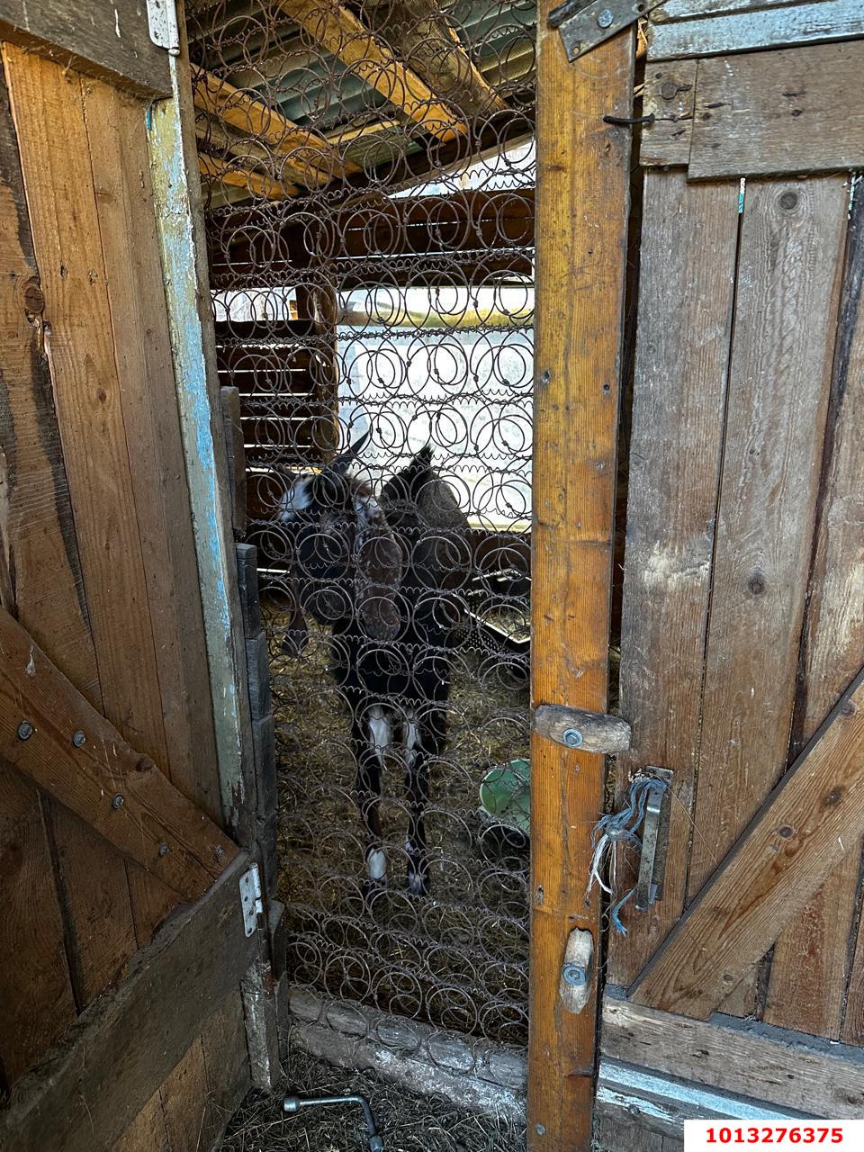 Фото №10: Дом 52&nbsp;м² + 13.5&nbsp;сот., 1&nbsp;эт. - Молдавановка, ул. Центральная, 35