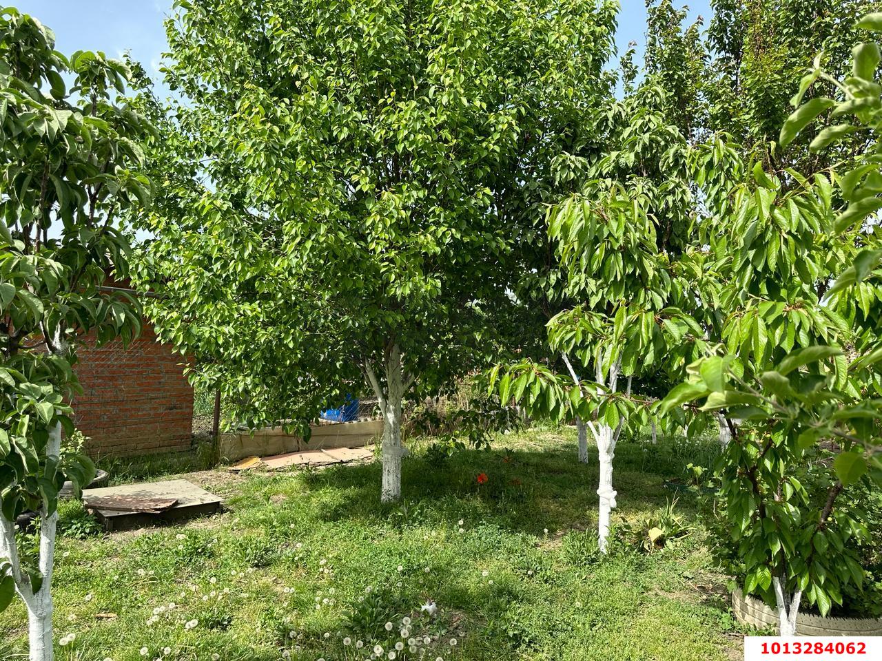 Фото №20: Дом 80&nbsp;м² + 6.4&nbsp;сот., 1&nbsp;эт. - Елизаветинская, Прикубанский внутригородской округ, ст Роднички, ул. Малиновая, 13