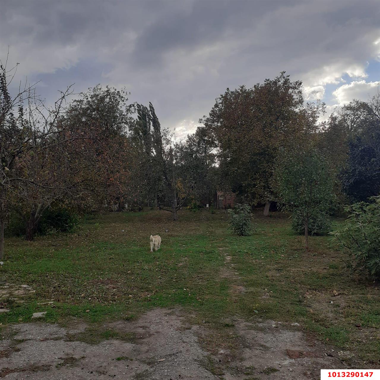 Фото №9: Дом 64&nbsp;м² + 13.64&nbsp;сот., 1&nbsp;эт. - Динская, ул. Красная, 68