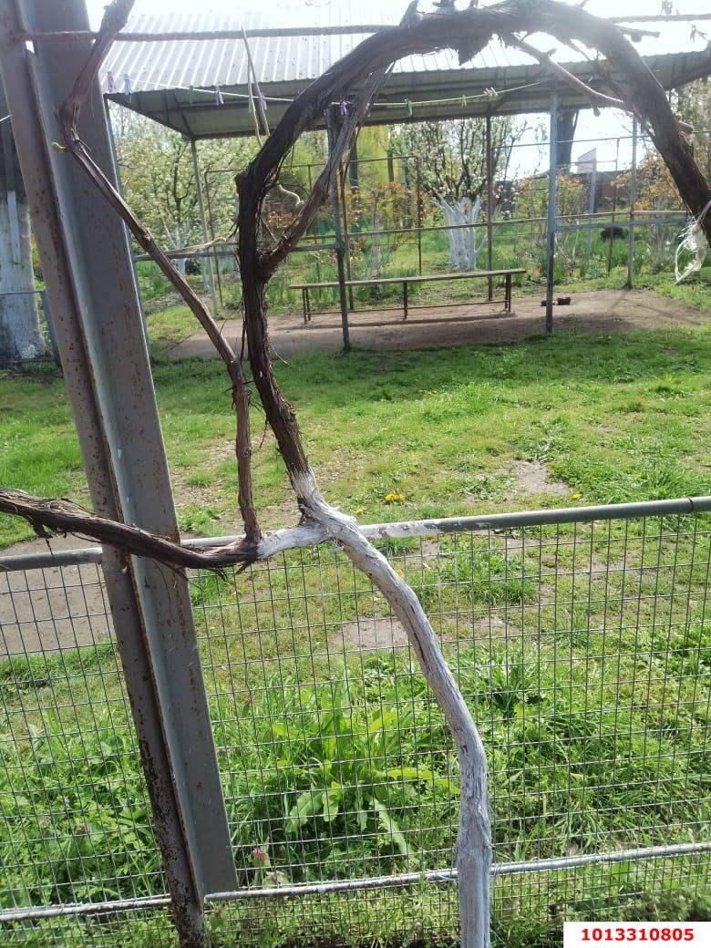 Фото №5: Земельный участок под ИЖС 41.1&nbsp;сот. - Кубанское Яблоко, мкр. Прикубанский внутригородской округ, ул. Сиреневая