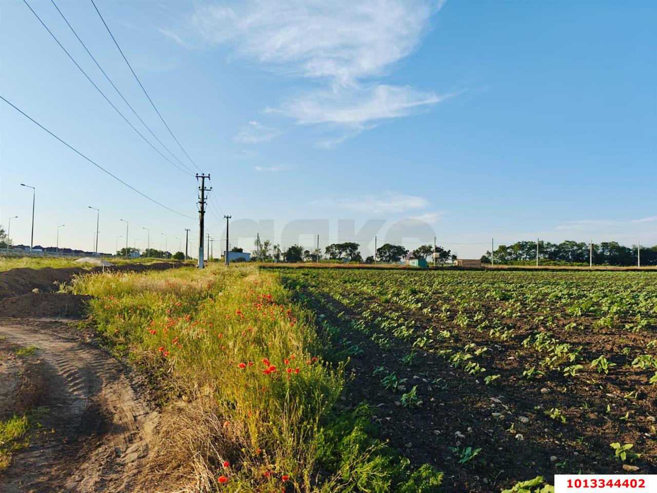 Фото №4: Коммерческая земля 150&nbsp;сот. - Цибанобалка, ул. Заречная, 10Б