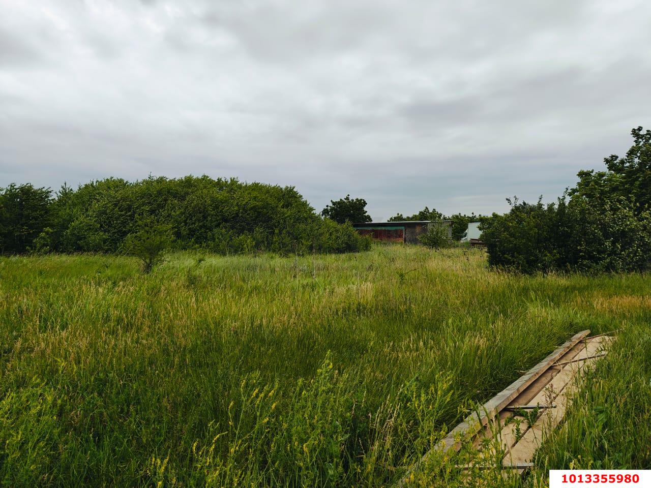 Фото №4: Личное подсобное хозяйство 8&nbsp;сот. - Авиатор, мкр. Прикубанский внутригородской округ, ул. Грушевая, 273