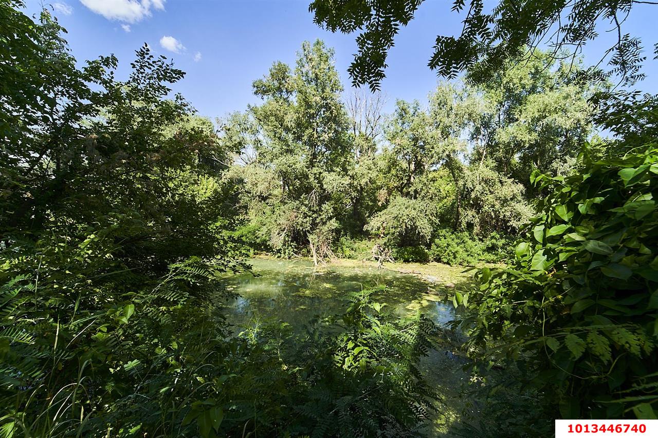 Фото №3: Личное подсобное хозяйство 18.11&nbsp;сот. - Виктория, мкр. Прикубанский внутригородской округ, пер. Рыбный, 20