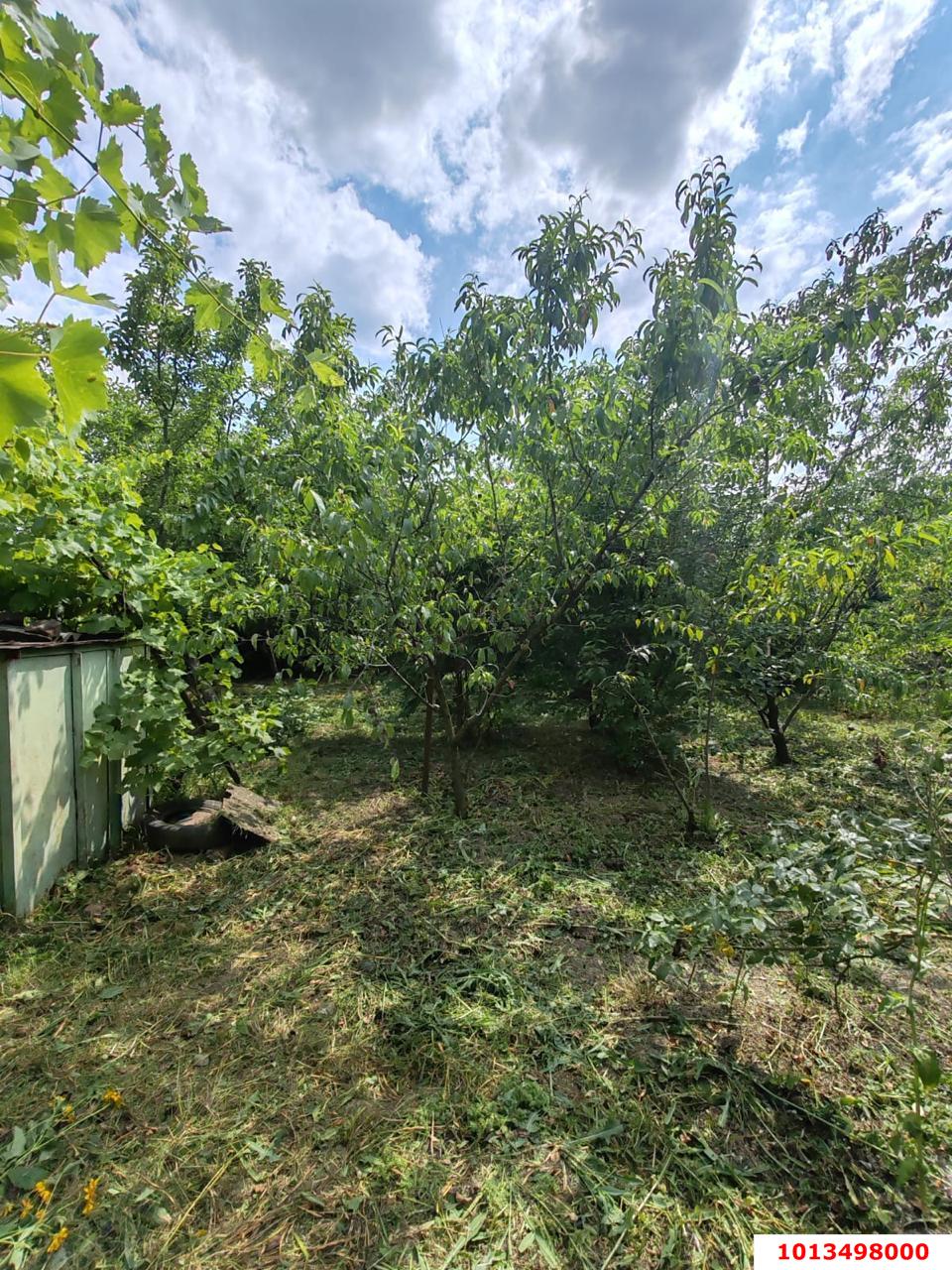 Фото №5: Личное подсобное хозяйство 6&nbsp;сот. - Елизаветинская, Прикубанский внутригородской округ, ст Проектировщик, ул. Лесная