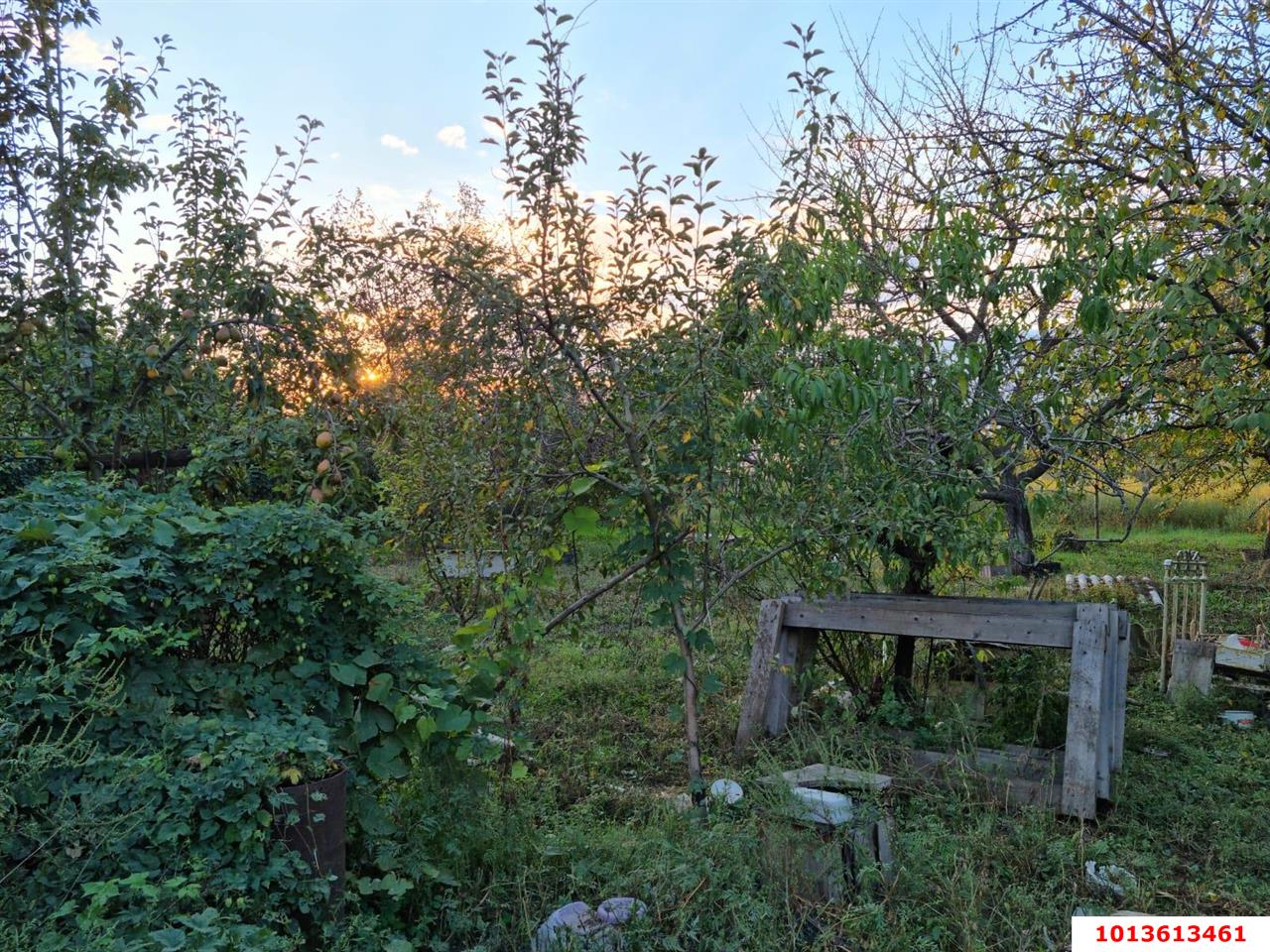 Фото №8: Земельный участок под ИЖС 30&nbsp;сот. - Копанской, мкр. Прикубанский внутригородской округ, ул. Центральная, 28