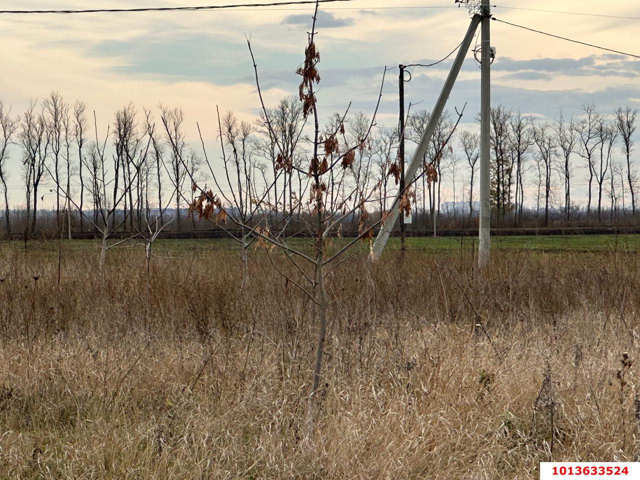 Фото №7: Земельный участок под ИЖС 6&nbsp;сот. - Новый, мкр. Прикубанский внутригородской округ, ул. Васильковая, 13
