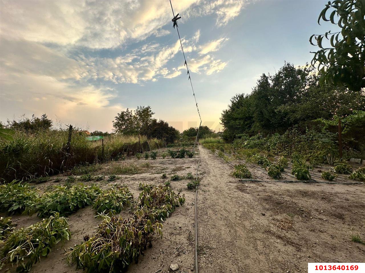 Фото №3: Дом 40&nbsp;м² + 9.9&nbsp;сот., 1&nbsp;эт. - Ленина, мкр. Карасунский внутригородской округ, ул. Обрезная, 29