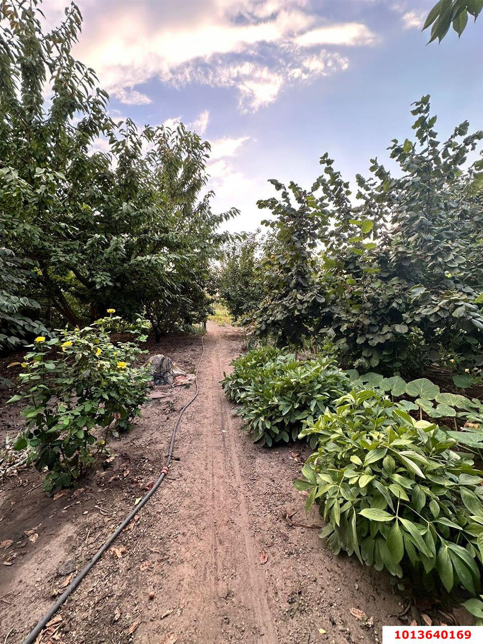 Фото №6: Дом 40&nbsp;м² + 9.9&nbsp;сот., 1&nbsp;эт. - Ленина, мкр. Карасунский внутригородской округ, ул. Обрезная, 29