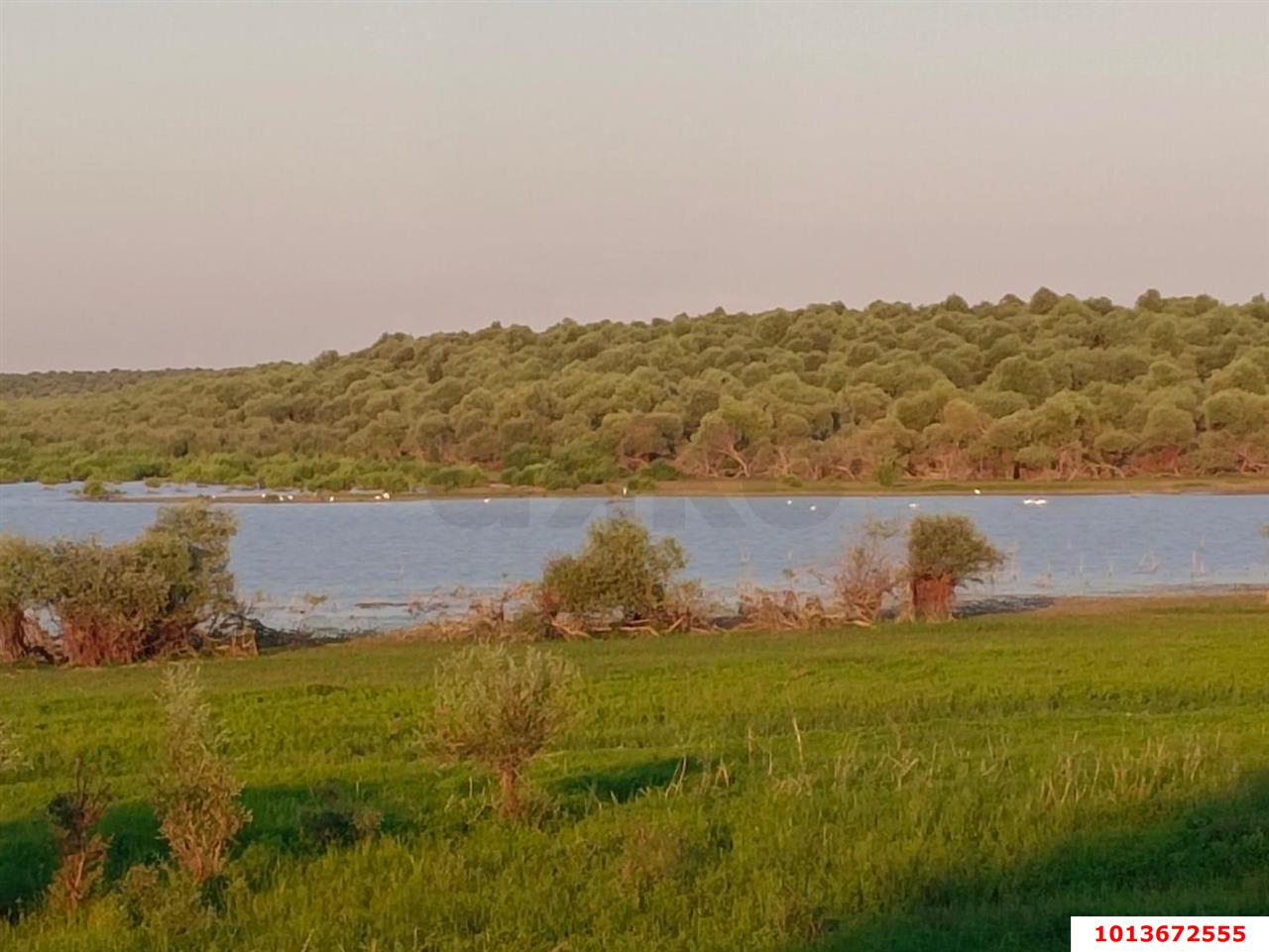Фото №5: Земельный участок под ИЖС 6&nbsp;сот. - Старокорсунская, мкр. Карасунский внутригородской округ, пер. Закрытый