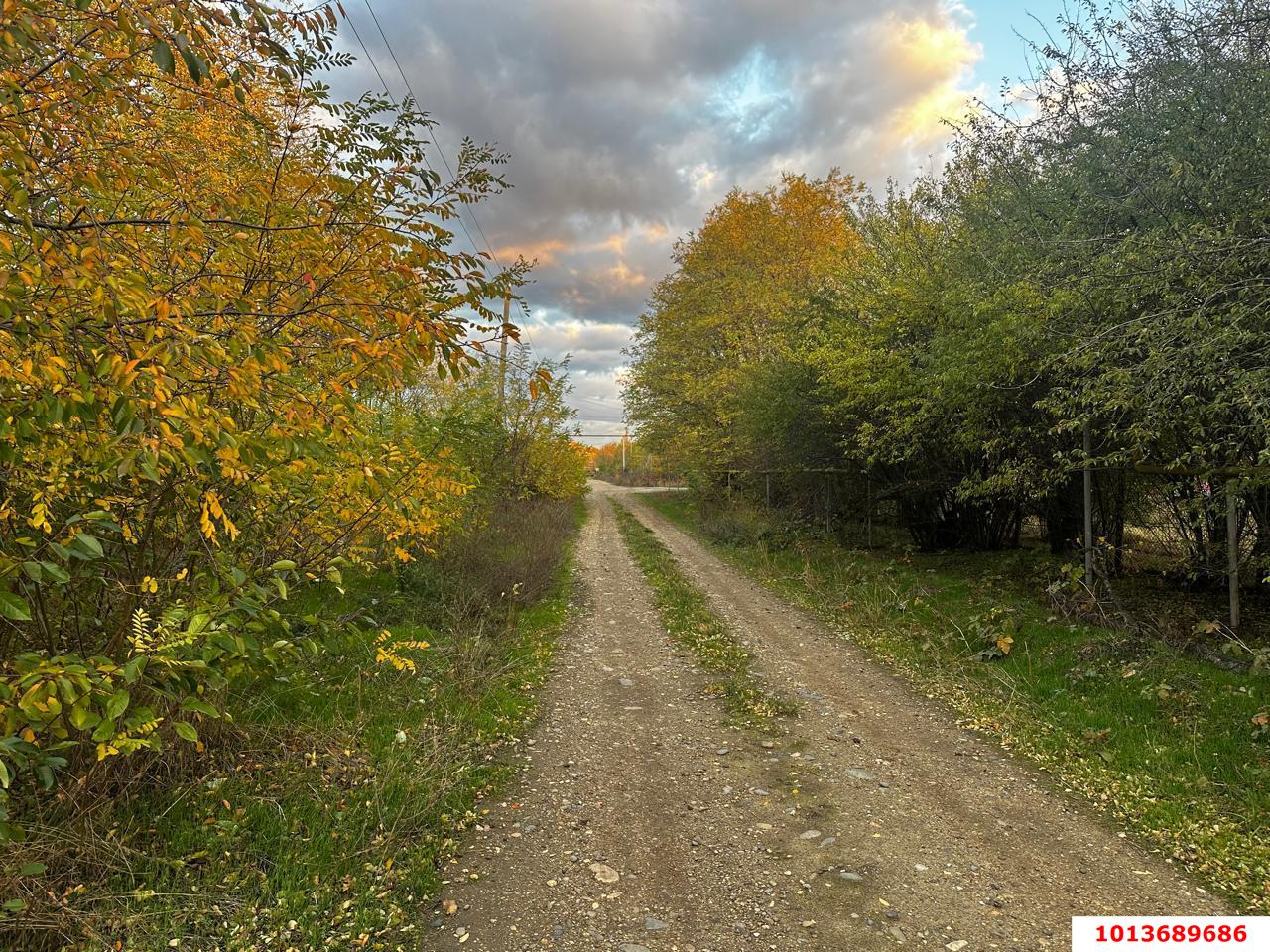 Фото №1: Земельный участок под ИЖС 48.9&nbsp;сот. - Красное, ул. Гагарина, 25