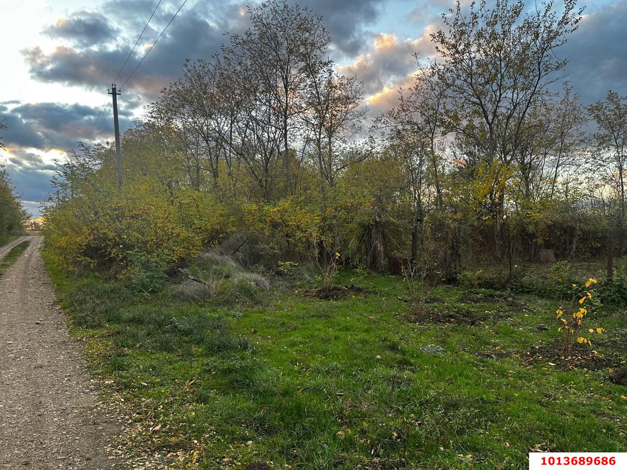 Фото №3: Земельный участок под ИЖС 48.9&nbsp;сот. - Красное, ул. Гагарина, 25