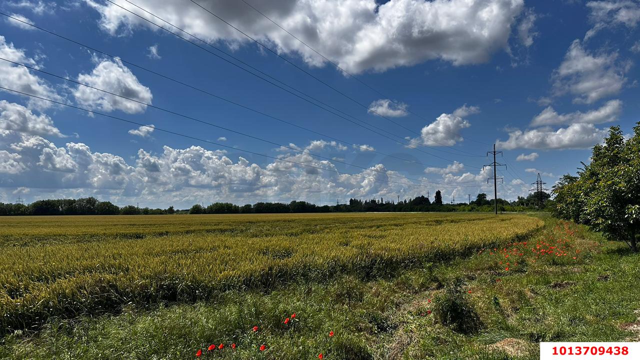Фото №2: Коммерческая земля 245&nbsp;сот. - Новотитаровская