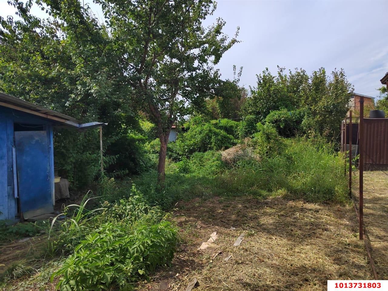 Фото №4: Личное подсобное хозяйство 4&nbsp;сот. - Елизаветинская, Прикубанский внутригородской округ, ст Связист-2, ул. Виноградная, 298