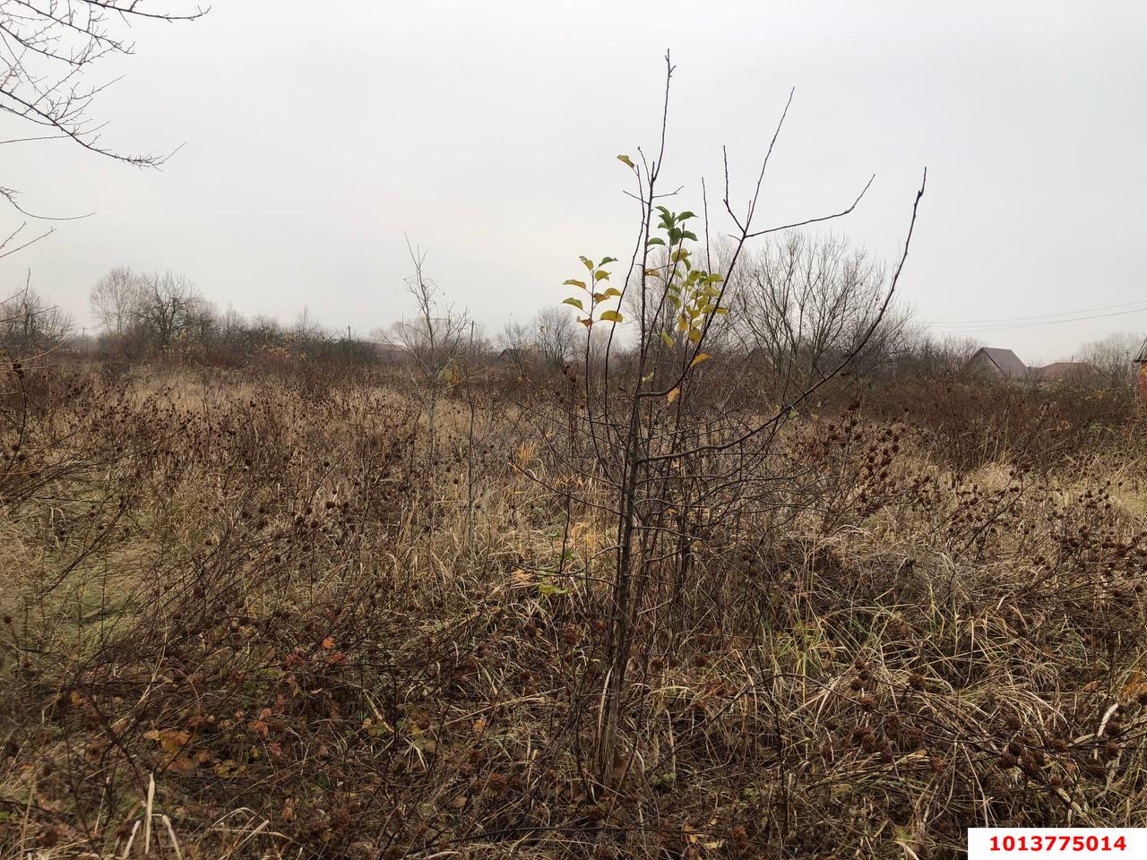 Фото №4: Личное подсобное хозяйство 8&nbsp;сот. - Елизаветинская, Прикубанский внутригородской округ, ст Автомобилист-2, ул. 2-я Линия, 95
