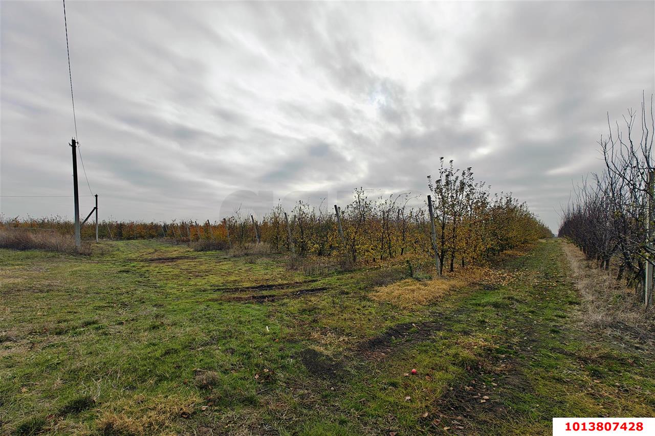 Фото №11: Коммерческая земля 1614.8&nbsp;сот. - Республика Адыгея (Адыгея) Теучежский район