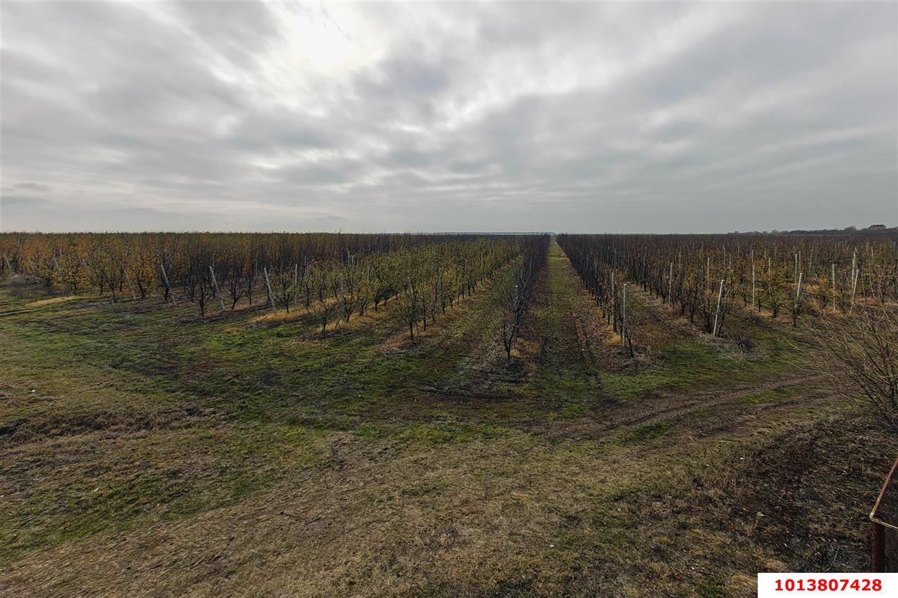 Фото №3: Коммерческая земля 1614.8&nbsp;сот. - Республика Адыгея (Адыгея) Теучежский район