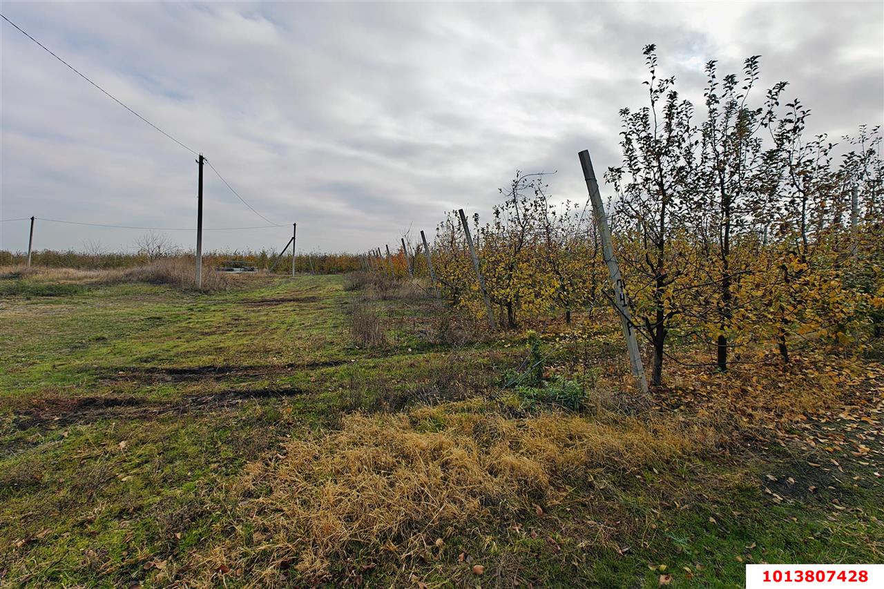 Фото №13: Коммерческая земля 1614.8&nbsp;сот. - Республика Адыгея (Адыгея) Теучежский район