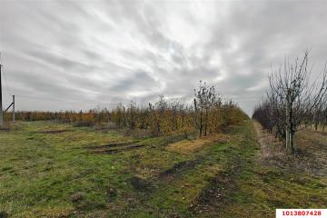 Фото №1: Коммерческая земля 1614.8&nbsp;сот. - Республика Адыгея (Адыгея) Теучежский район