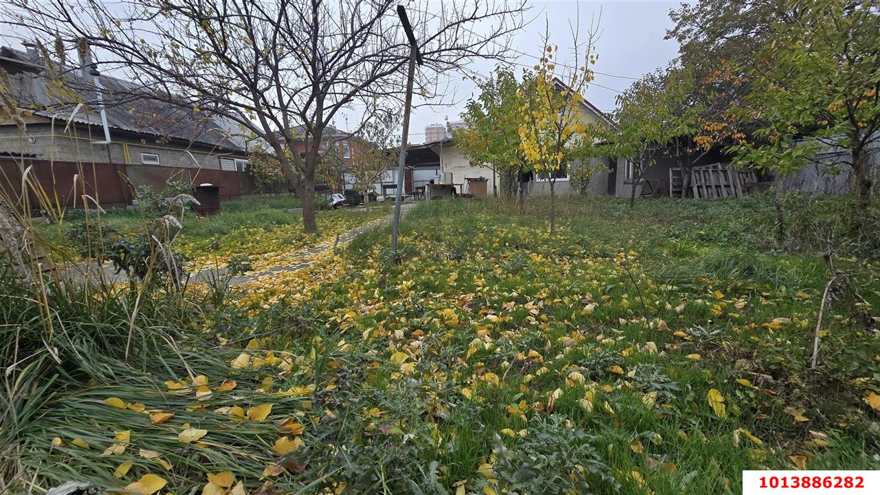 Фото №5: Земельный участок под ИЖС 6&nbsp;сот. - Краснодар, Прикубанский внутригородской округ, мкр. СТ Топольки-4, ул. Ягодная