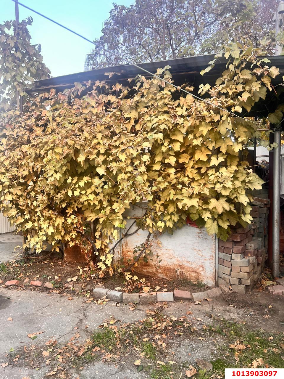 Фото №1: 1-комнатная квартира 21&nbsp;м², 1/1&nbsp;эт. - Краснодар, Западный внутригородской округ, мкр. Центральный, ул. Кирова, 20