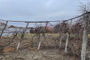 Фото №1: Земельный участок под ИЖС 12.5 сот. - Старобжегокай, ул. Шовгенова, 11А