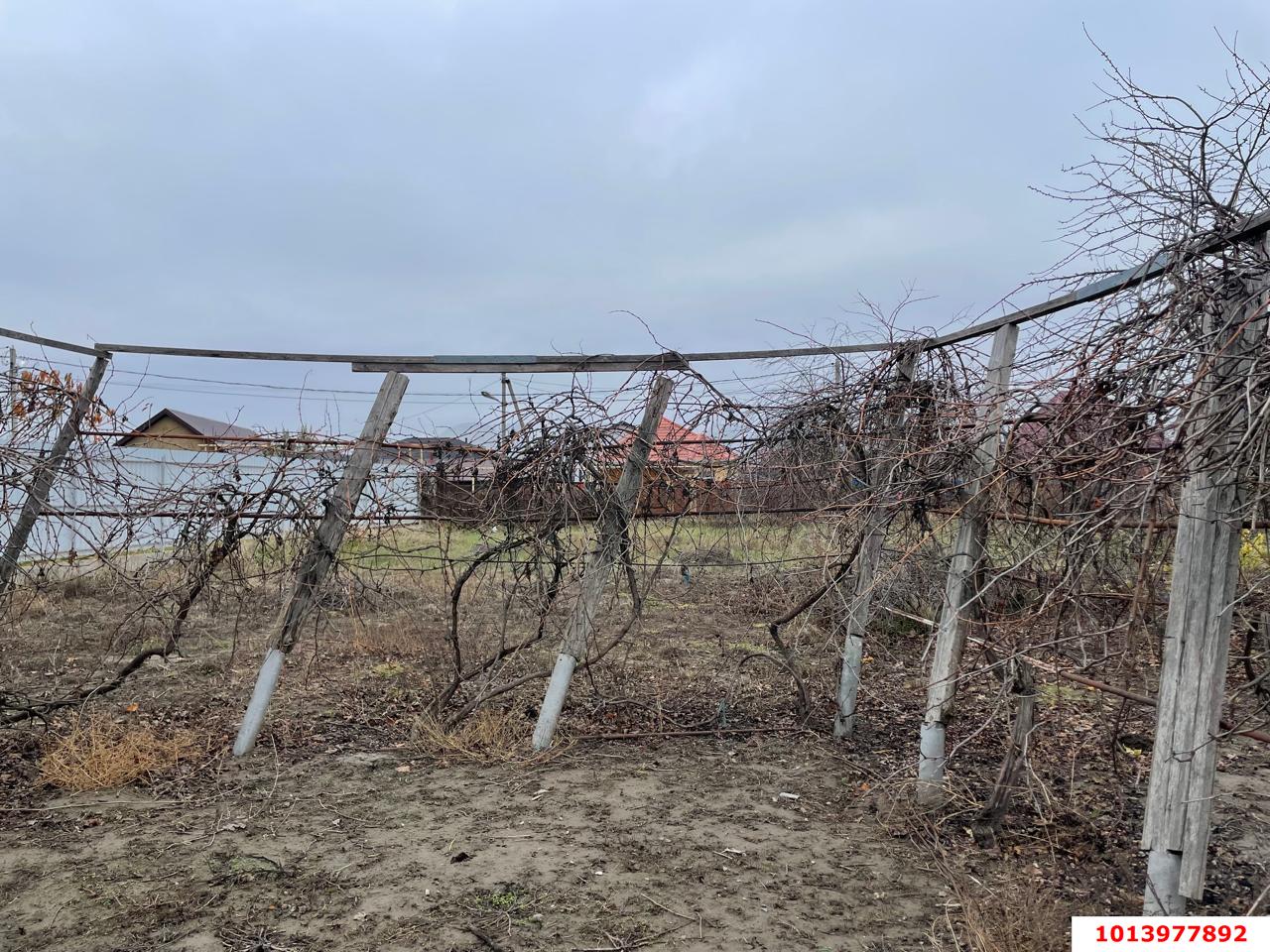 Фото №1: Земельный участок под ИЖС 12.5&nbsp;сот. - Старобжегокай, ул. Шовгенова, 11А