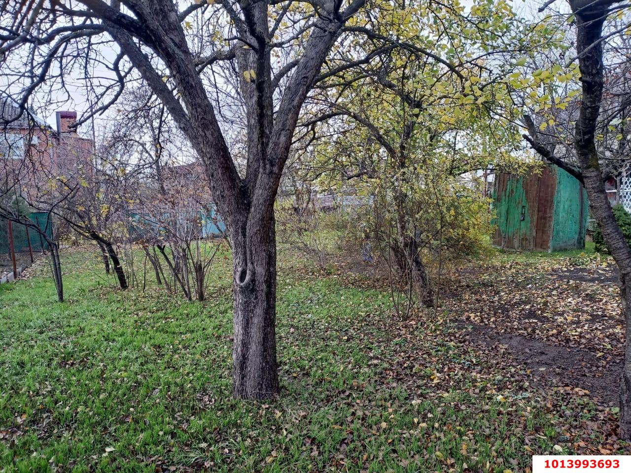 Фото №4: Дом 21&nbsp;м² + 4&nbsp;сот., 1&nbsp;эт. - Шоссейное, мкр. Прикубанский внутригородской округ, ул. Кубанская, 11