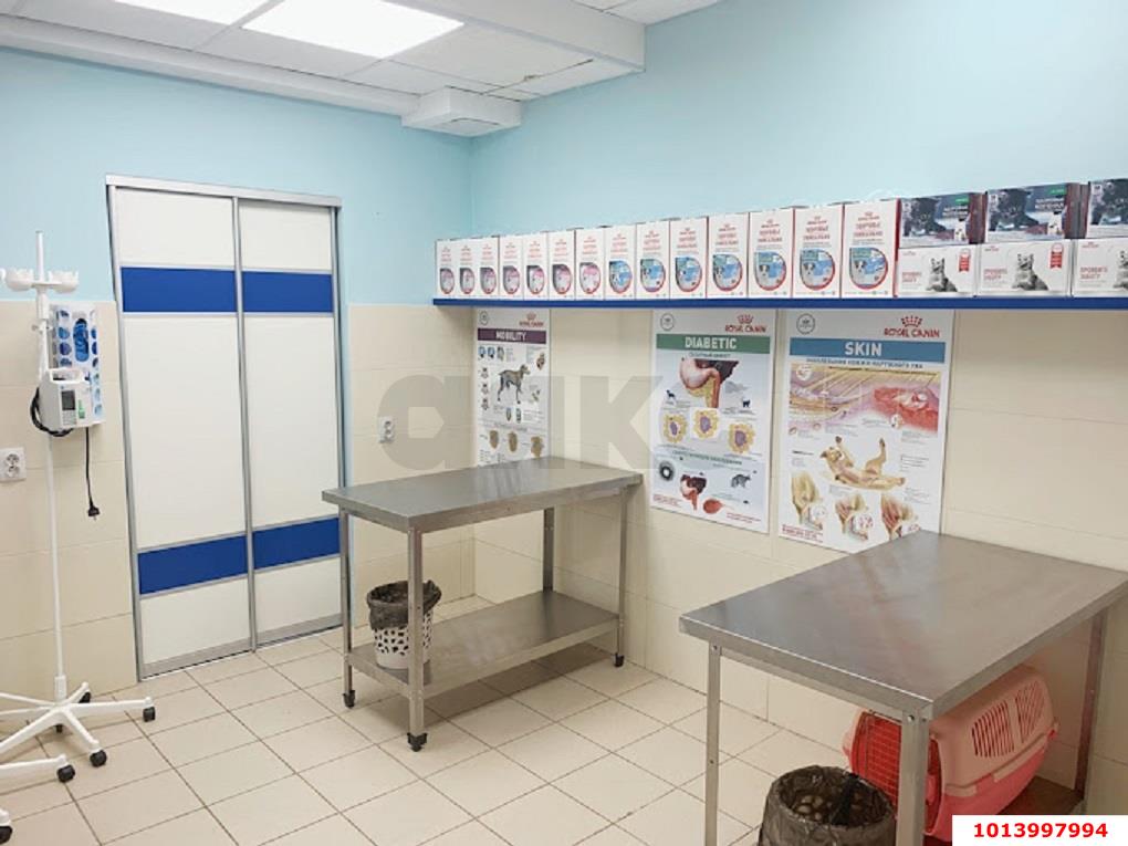 Фото №7: Торговое помещение 147&nbsp;м², 6&nbsp;эт. - Краснодар, Карасунский внутригородской округ, мкр. Черёмушки, ул. Селезнёва, 4/6