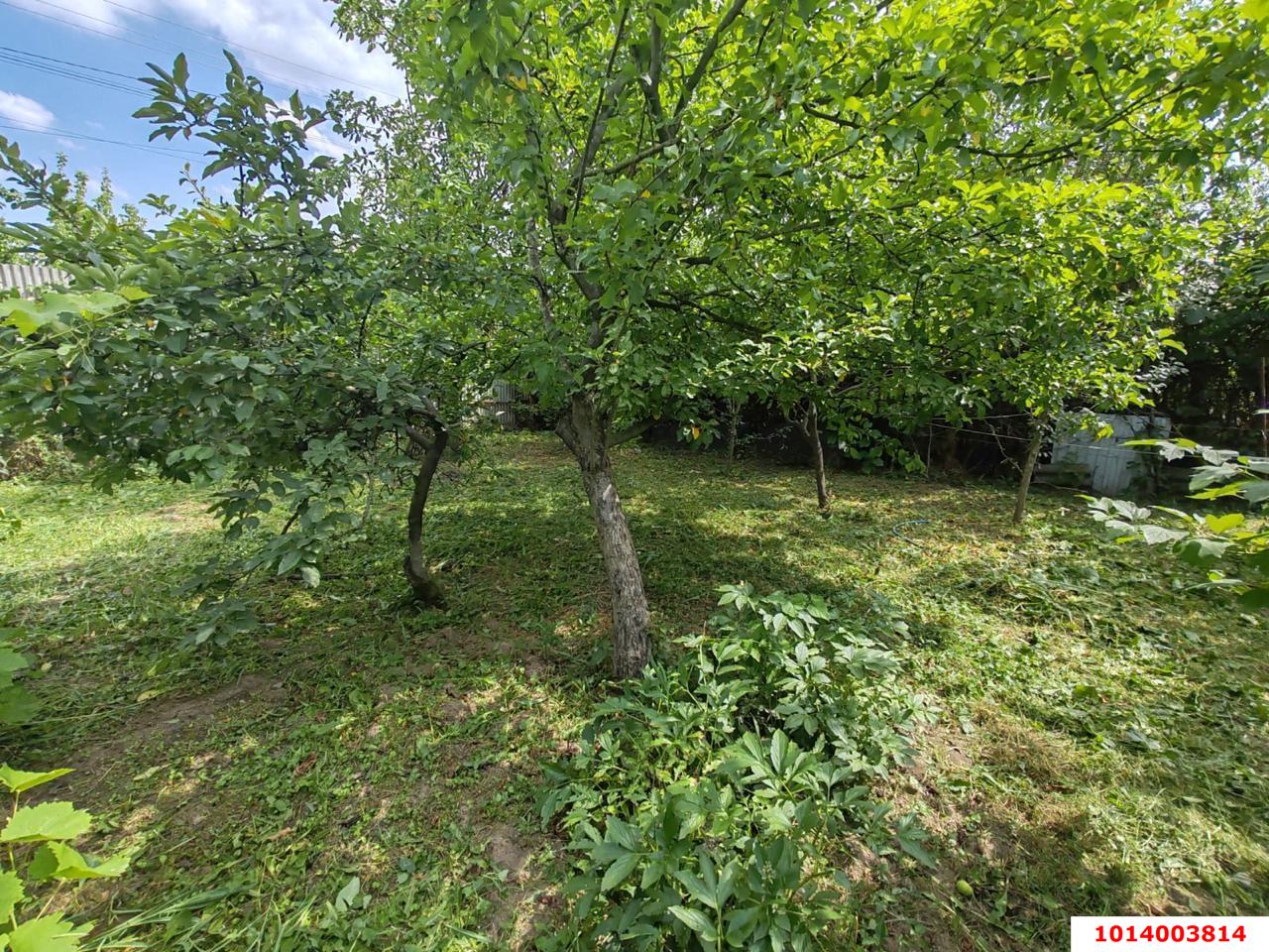 Фото №4: Личное подсобное хозяйство 6.8&nbsp;сот. - Факел, мкр. Прикубанский внутригородской округ, ул. Краснодарская, 9