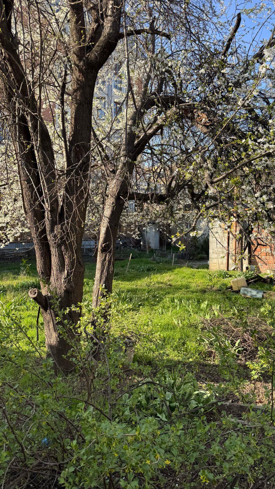 Фото №2: Дом 80&nbsp;м² + 6.7&nbsp;сот. - Краснодар, Центральный внутригородской округ, мкр. Центральный, ул. Промышленная, 80