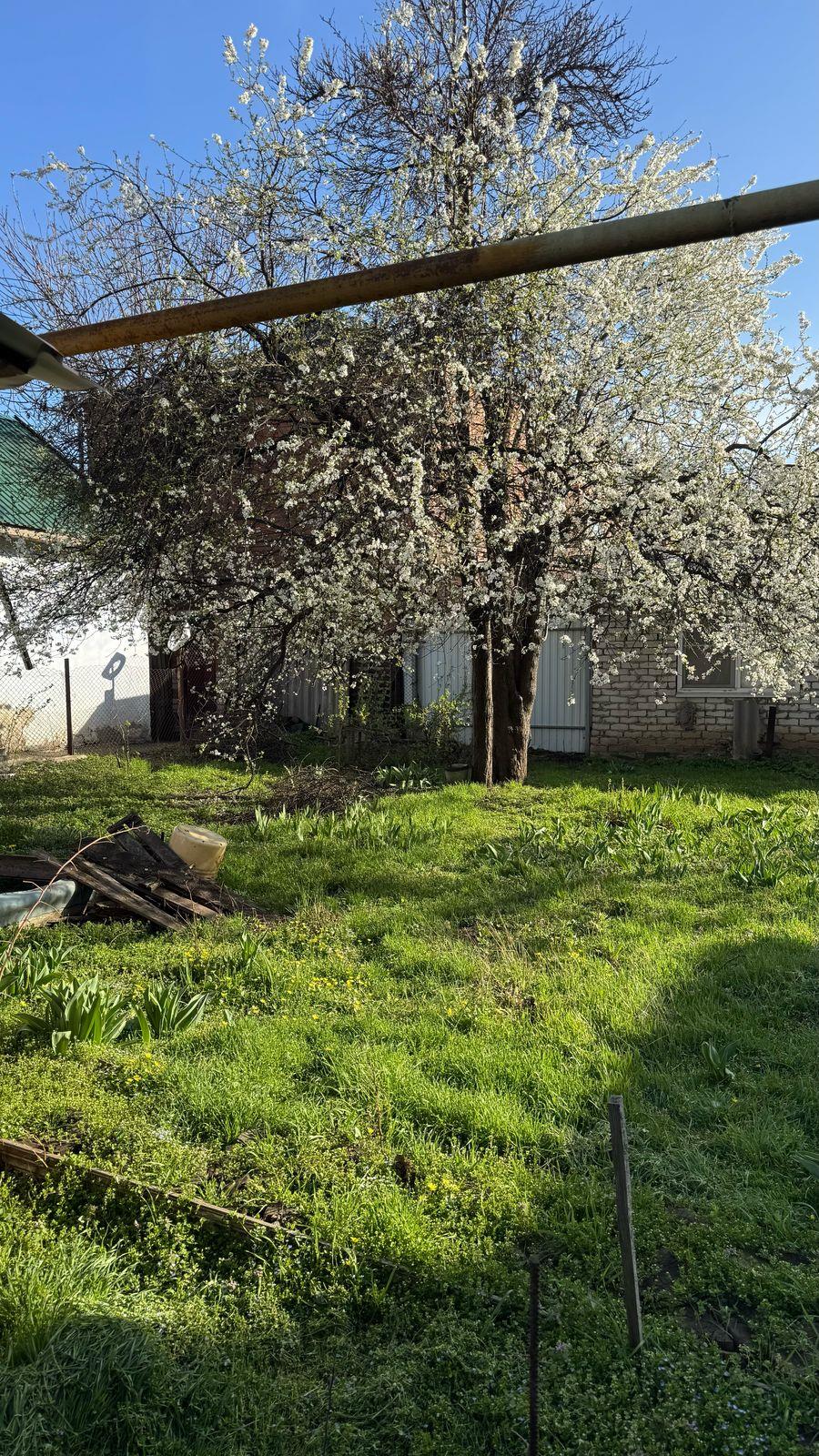 Фото №4: Дом 80&nbsp;м² + 6.7&nbsp;сот. - Краснодар, Центральный внутригородской округ, мкр. Центральный, ул. Промышленная, 80