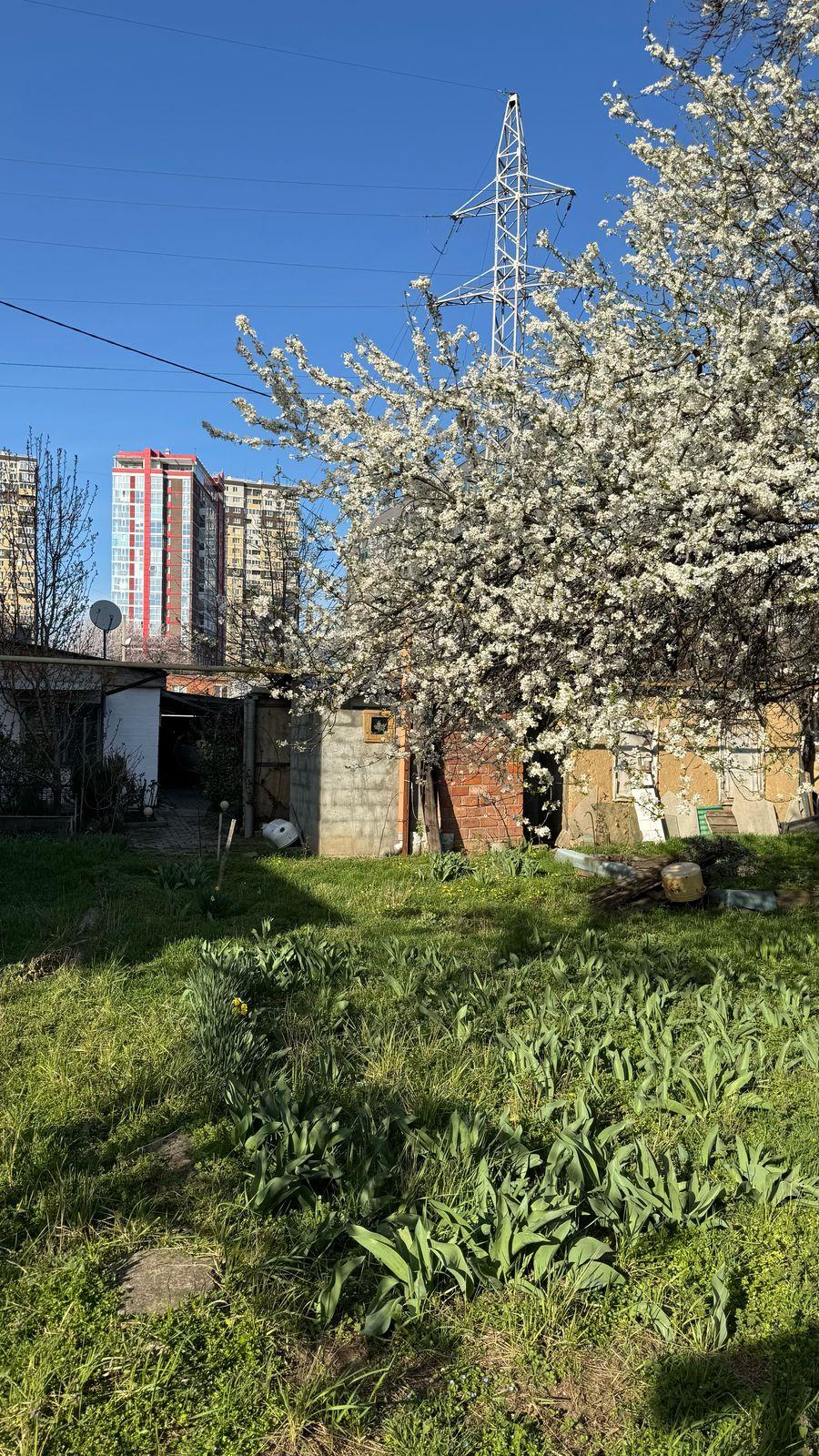 Фото №8: Дом 80&nbsp;м² + 6.7&nbsp;сот. - Краснодар, Центральный внутригородской округ, мкр. Центральный, ул. Промышленная, 80