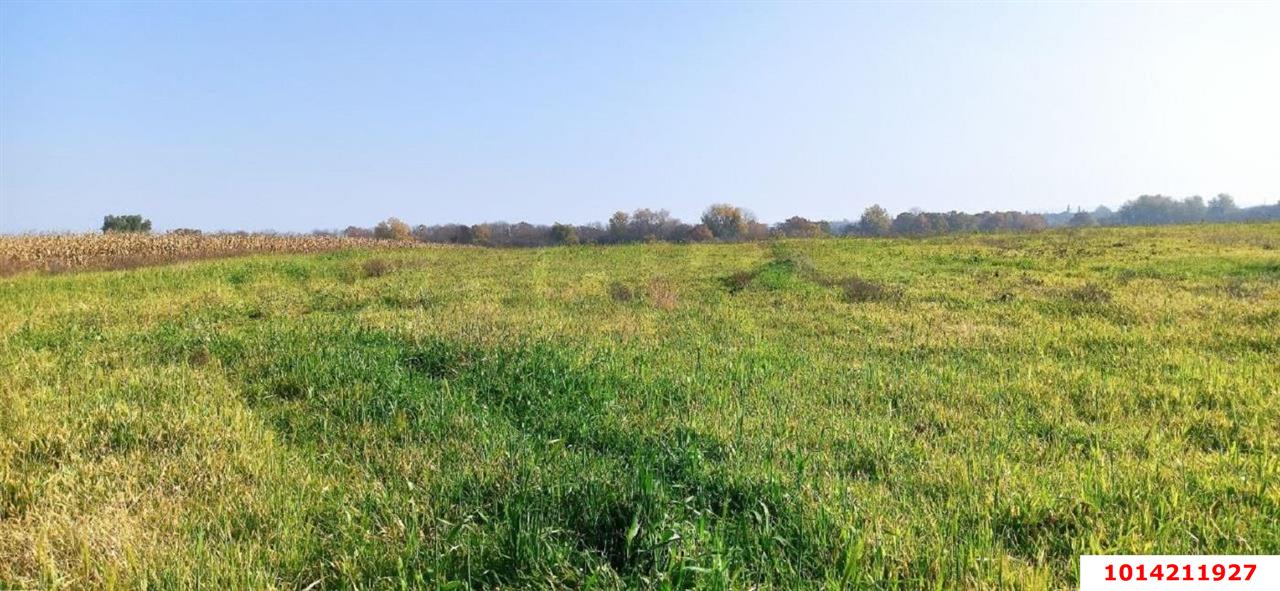 Фото №5: Коммерческая земля 305.33&nbsp;сот. - Свободный, ул. Садовая, 26