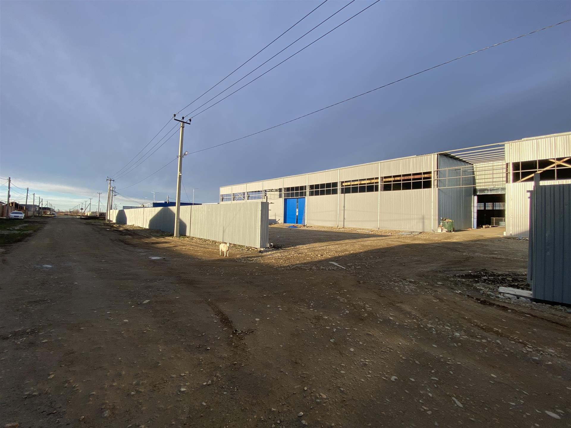 Фото №4: Коммерция 2040&nbsp;м², 1/1&nbsp;эт. - МТФ № 2 колхоза имени Ленина